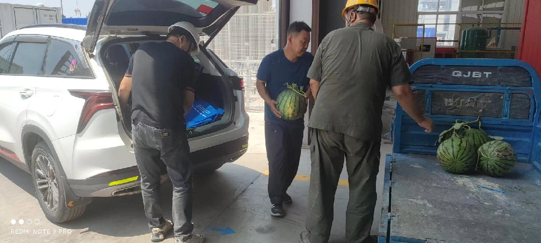 Sweltering yazında serinlik göndermek, aşırı sıcaklıkla mücadele için çabaları birleştirmek